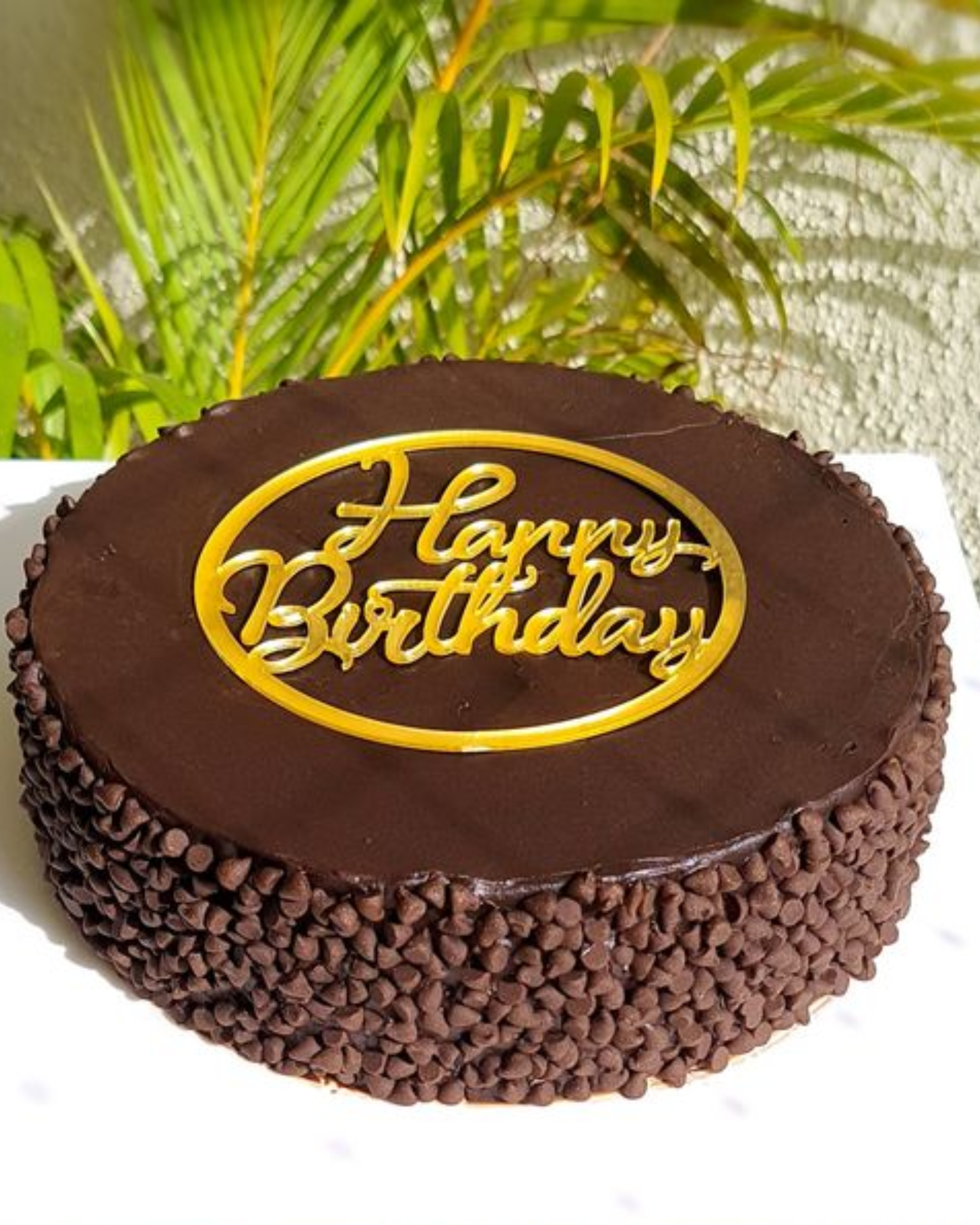 Chocolate cake decorated with dark chocolate garnish, cherries, and chocolate chips on the sides, placed on a silver base.